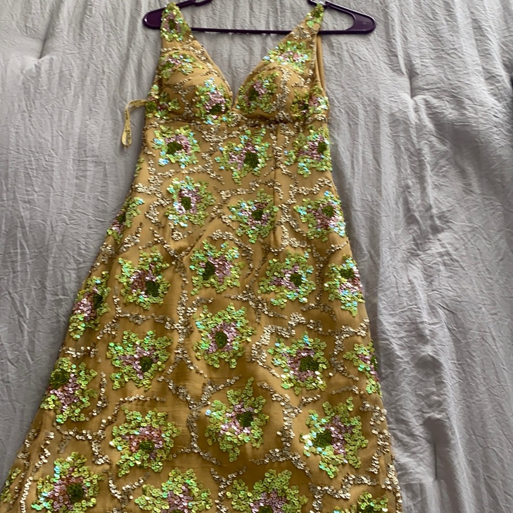 Open back, gold sequined dress